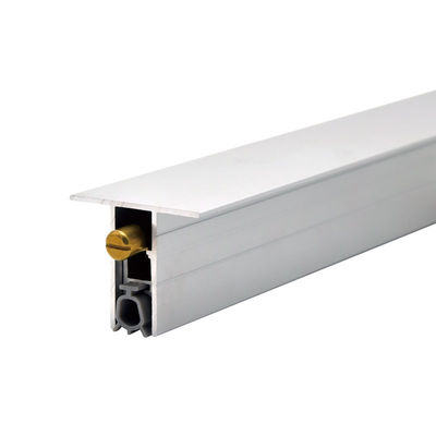 40-14*34mm Automatic Drop Down Seal T Shaped Concealed Fixing